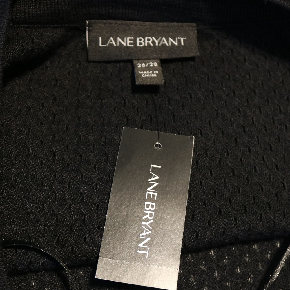 Lane Bryant Eyelet Sweater - Picture 6 of 8